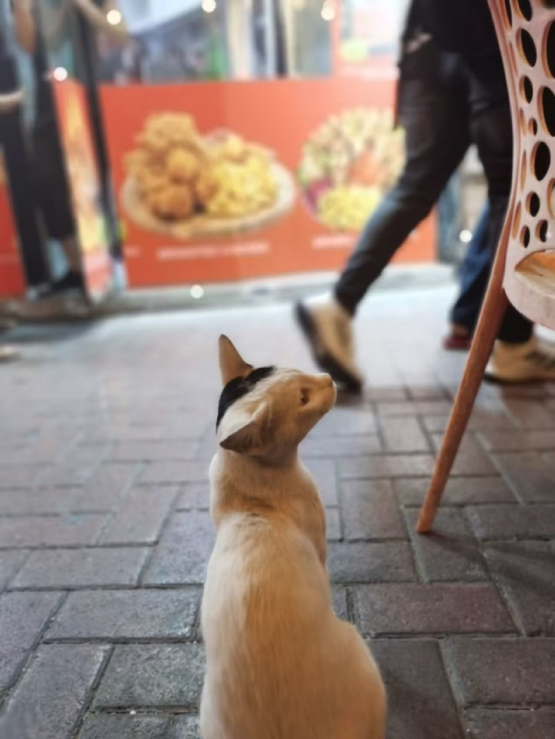 951543368_副本.jpg